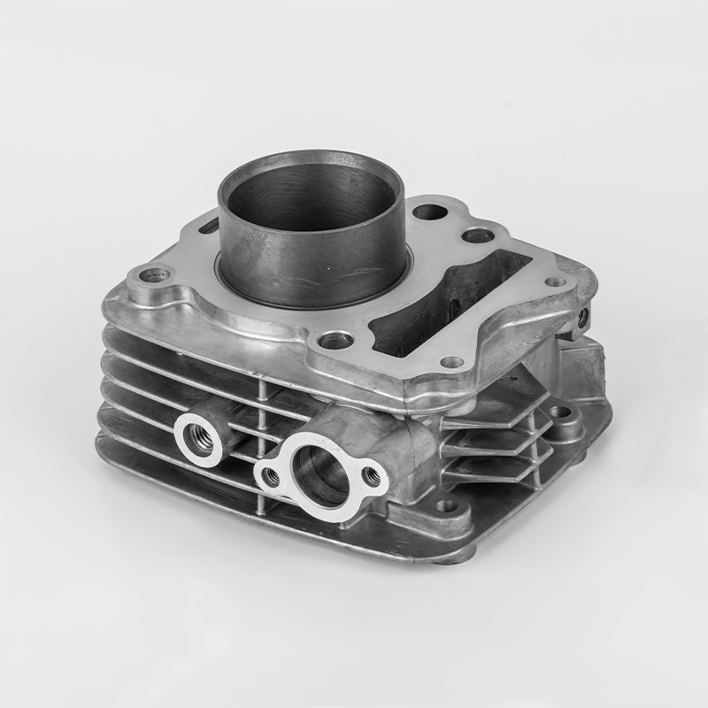 TVS110 (Φ53.5) Động cơ hiệu suất cao TVS