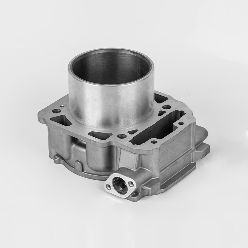 Động cơ xi lanh bền bỉ Liangzi 1000 (Φ91) Bombardier 1000